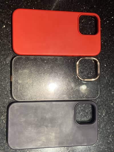 iPhone 13 Pro Max Cases