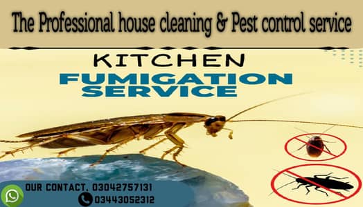 The pro pest control services and house cleaning