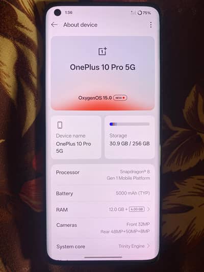 oneus 10pro 5g ex possible