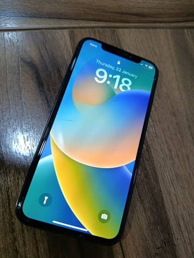 Apple iPhone X