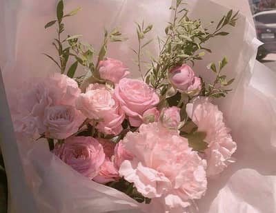 use condition fresh 90 percent ok