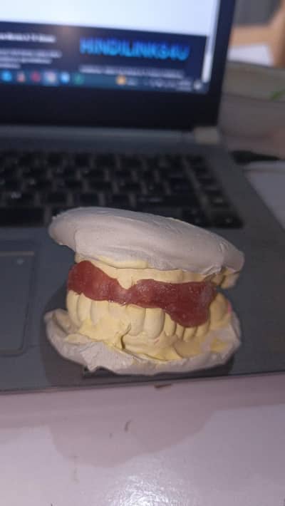 female assistant required