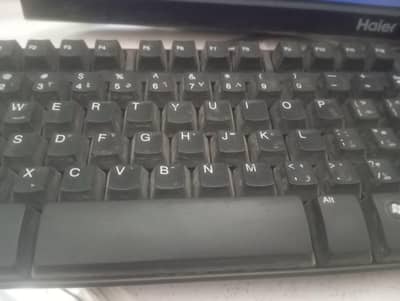 Accountant/Finance Manager Required