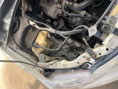 xli chat bounty digi jeniun