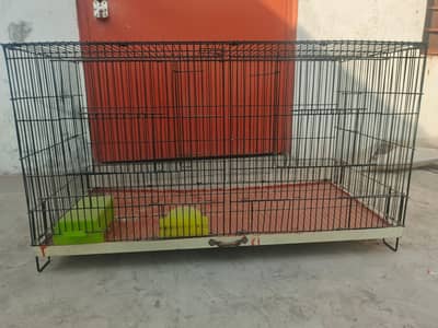 iron cage 10 bye 10 cundishan