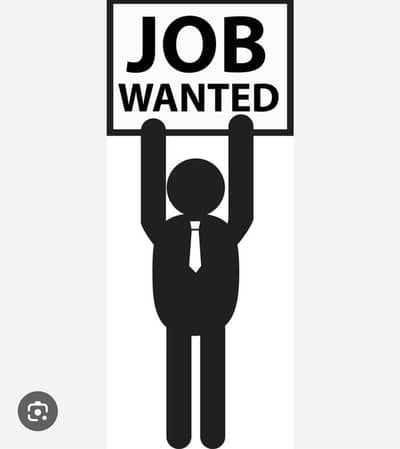JOB WANTED