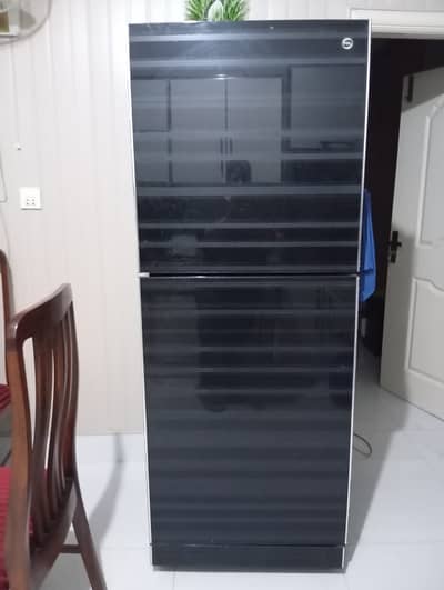Pel 2 door large size refrigerator
