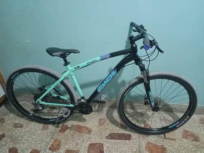 BIANCHI DUEL (29. S)