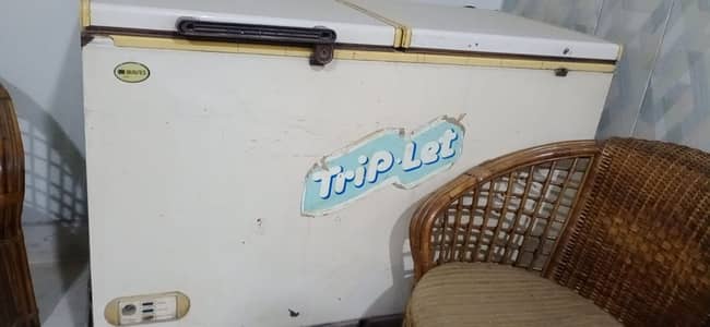 Waves Deep Freezer (Two Doors)