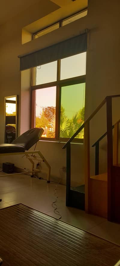 physical therapy services