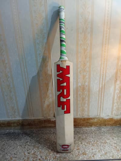 cricket bat