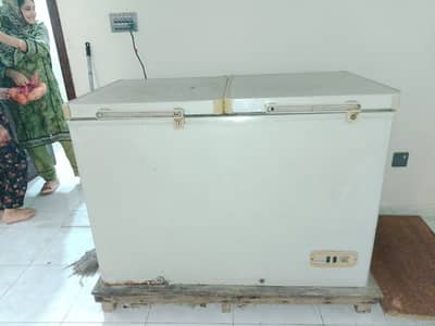 Big size dowlance deep freezer for sale