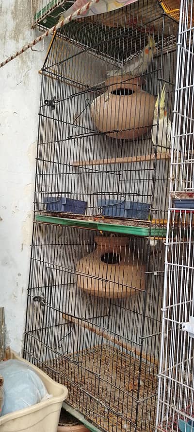 2 portion Bird cage