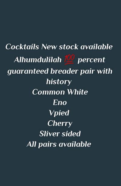 All species available