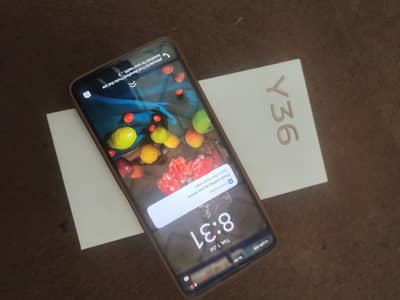 Vivo Y36