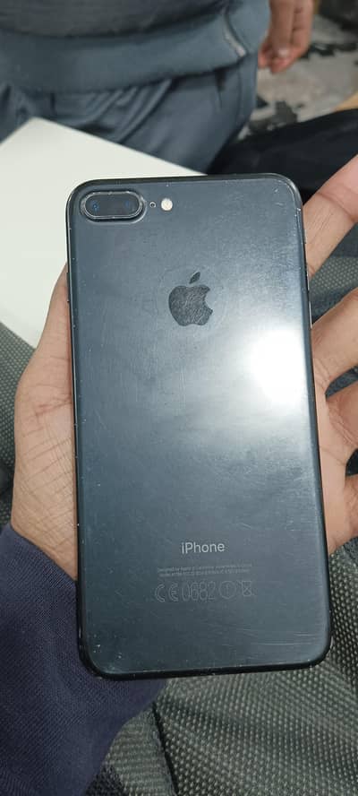 contact 034164867296