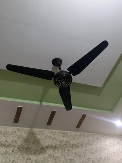 crown ceiling fan