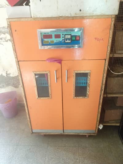 Incubators and hatcher | Birds Feed making Machine | Hatching Machine