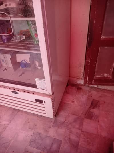 Varioline Intercool Display Standing Freezer