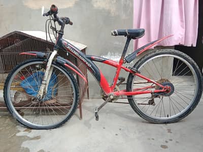 japanies Fire Wind high speed custom cycle size 24