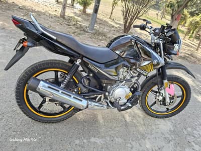 YAMAHA YBR-G 125