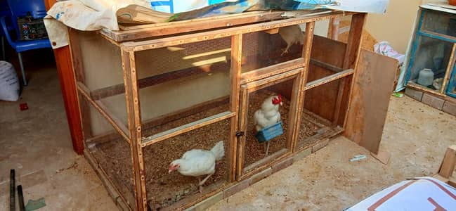 Wooden Cage different size total 5 cage