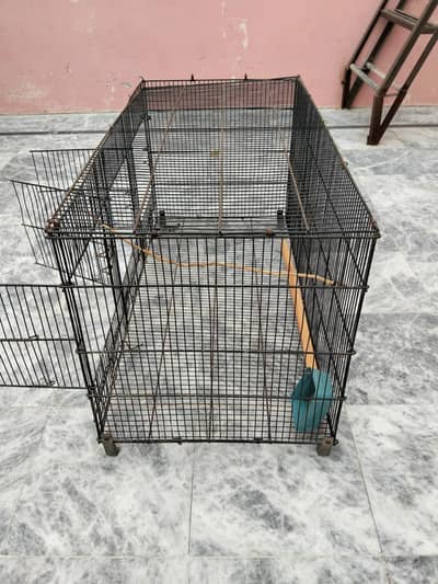 parrot cage