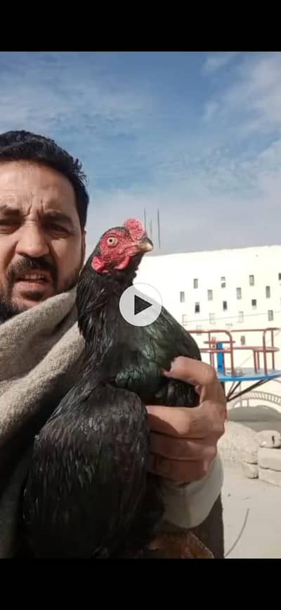 sirf WhatsApp par bath karo. . . . 345.98. . 29. . 7. . . 49