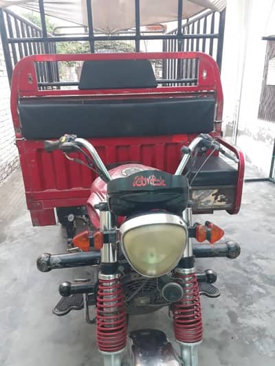 Siwa loder champion boday