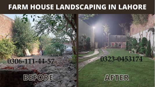 Natural Korean Grass | Natural Grass | American Grass | Fine Grass