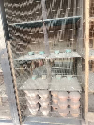 strong iron cage | birds cage | Hen cage for sale