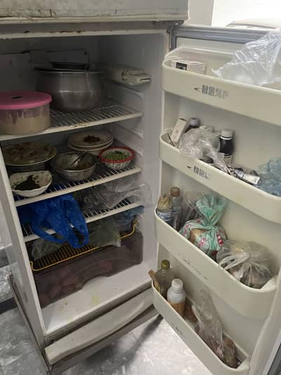 Dawlance full size fridge