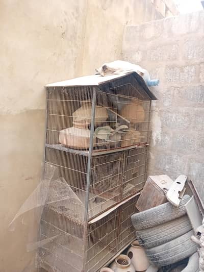 birds cage for sale
