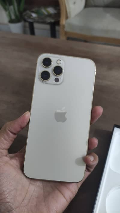 Apple iPhone 12 Pro Max