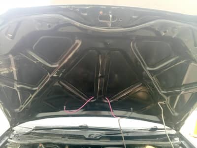 good candisson  chat Janine hy