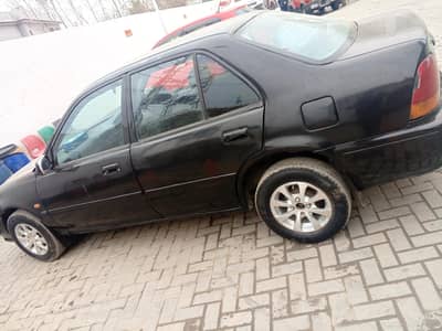 good candisson  chat Janine hy