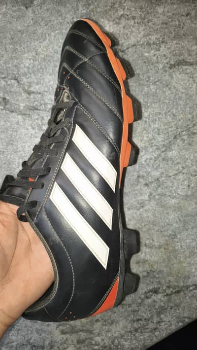 Adidas  predator New 10/10