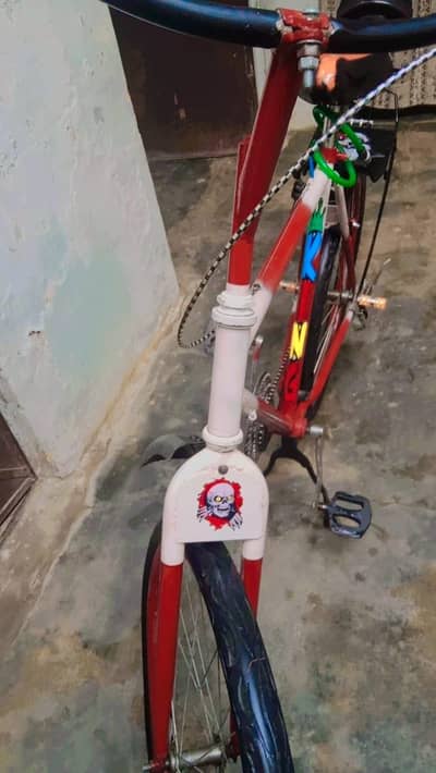 Phoenix cycle full costomized modification