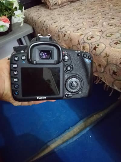 canon 7d with kit  and 50mm stm lens