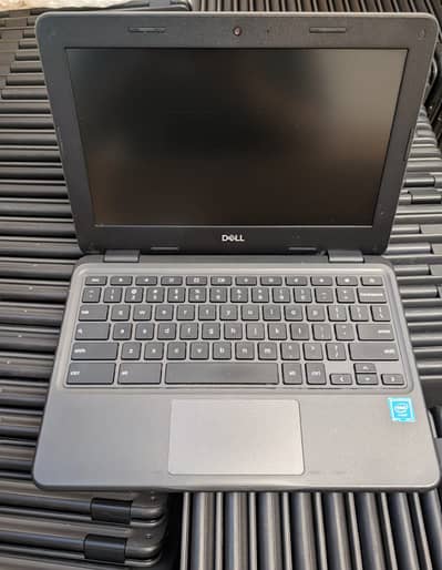 dell 3100 2029 updated 4 - 16 GB