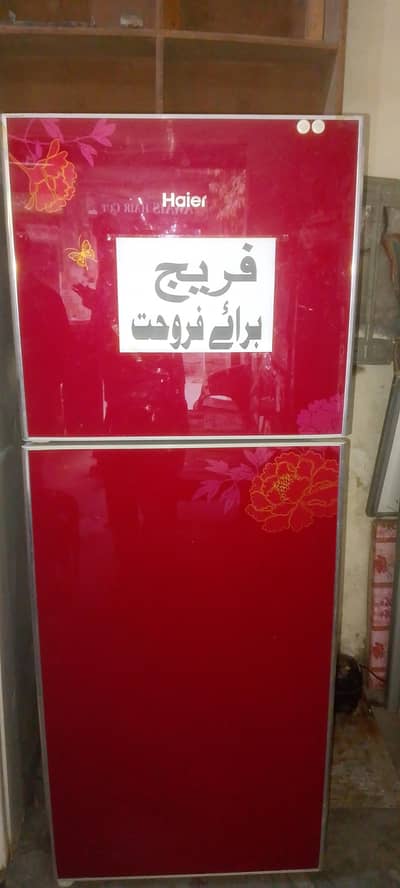 Haier Fridge