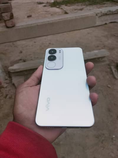 Vivo Y19s
