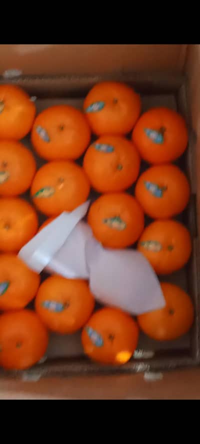 fresh kinnow 10kg packing export quality polished and packed