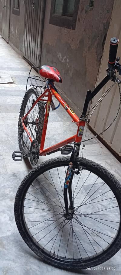 Bicycle for kids in large size