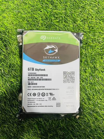 Seagate 6Tb