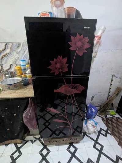 orient freg medium No open repr