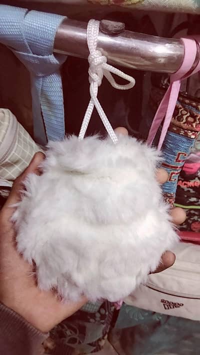 branded luxury Paras