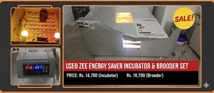 56 EGGS INCUBATOR & 100 CHICKS BROODER Energy Saver 10 watt