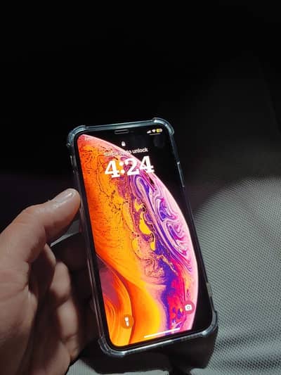 Iphone xs dual pta 256gb exchange possible
