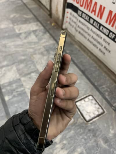 12 pro max factory unlock